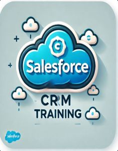 SalesForce Training in jeddah